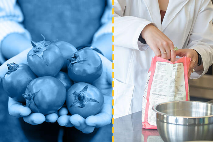 What to Expect from a Food Science Degree